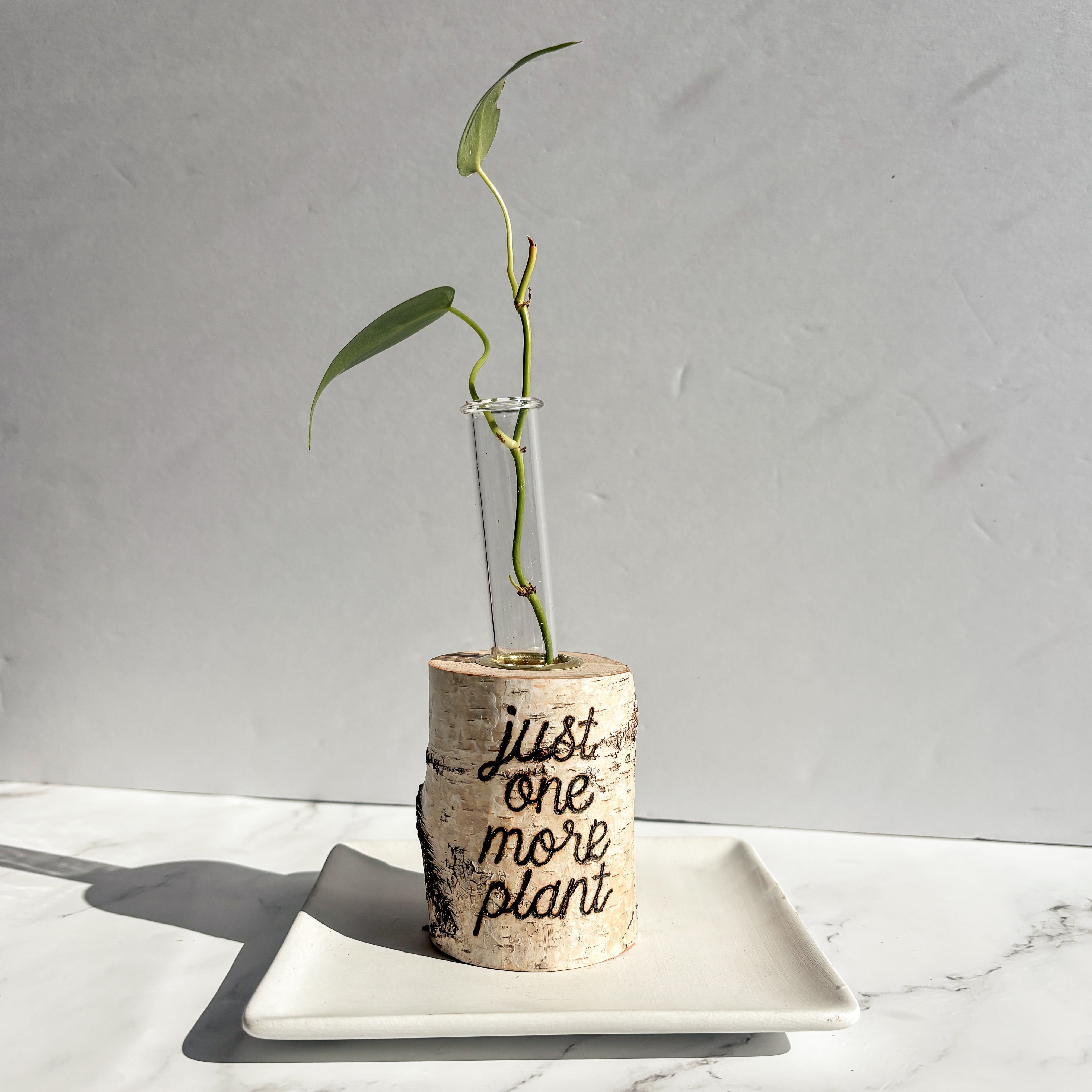Small vase with a plant and 'just one more plant' text on a marble surface.
