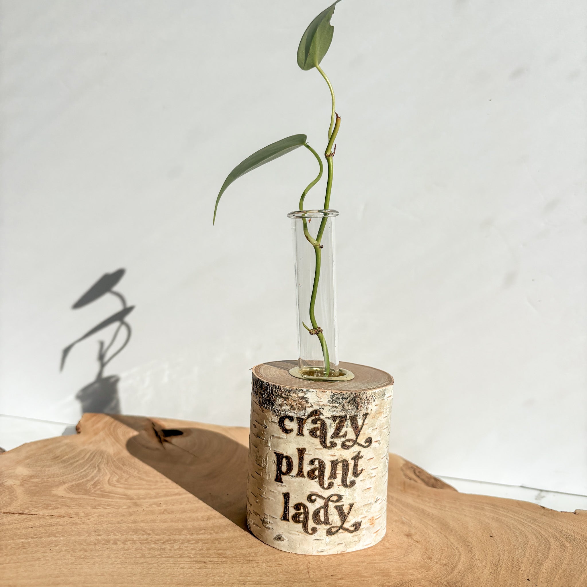 Plant Propagation Station - Crazy Plant Lady