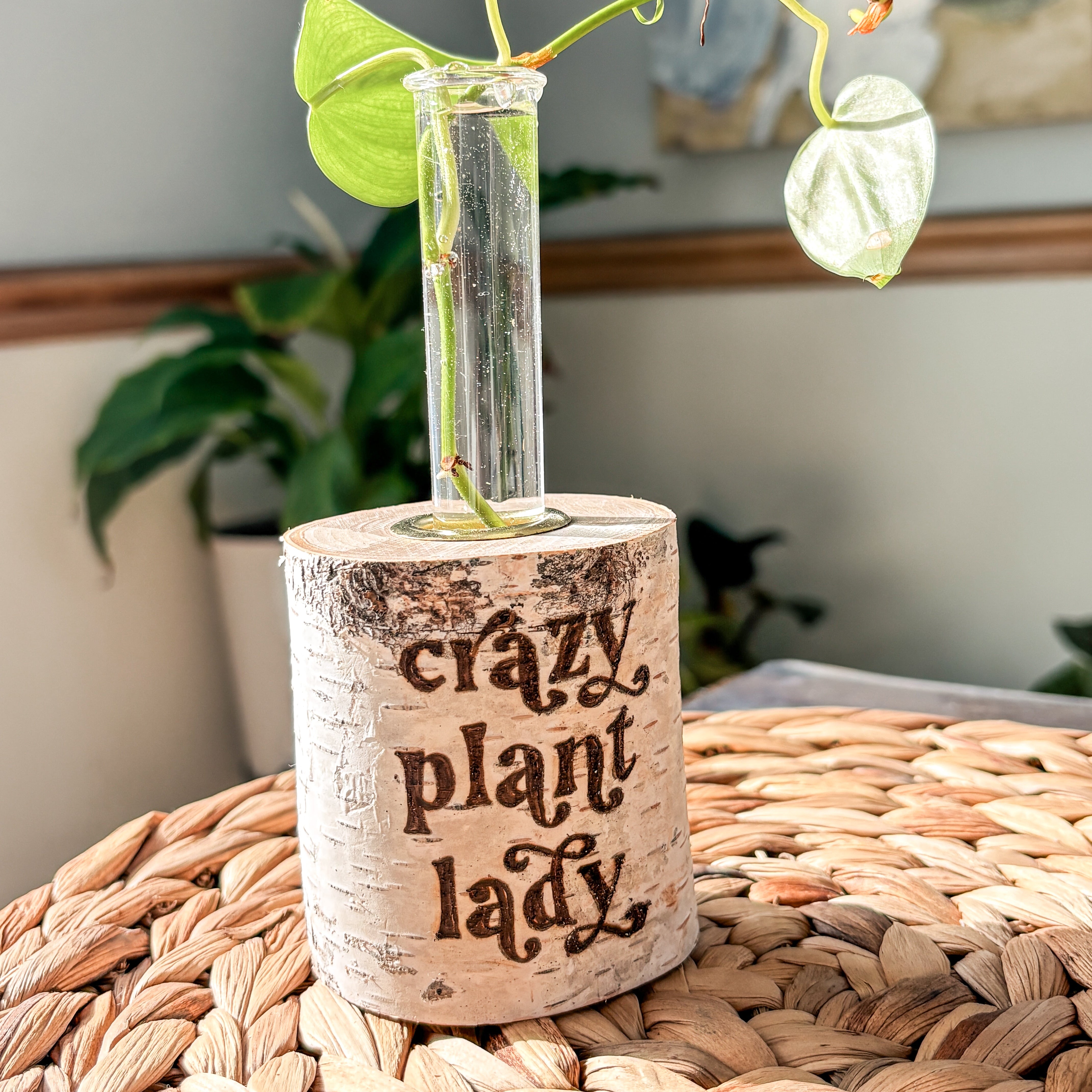 birch plant propagation station with plant and 'crazy plant lady' text on a woven surface