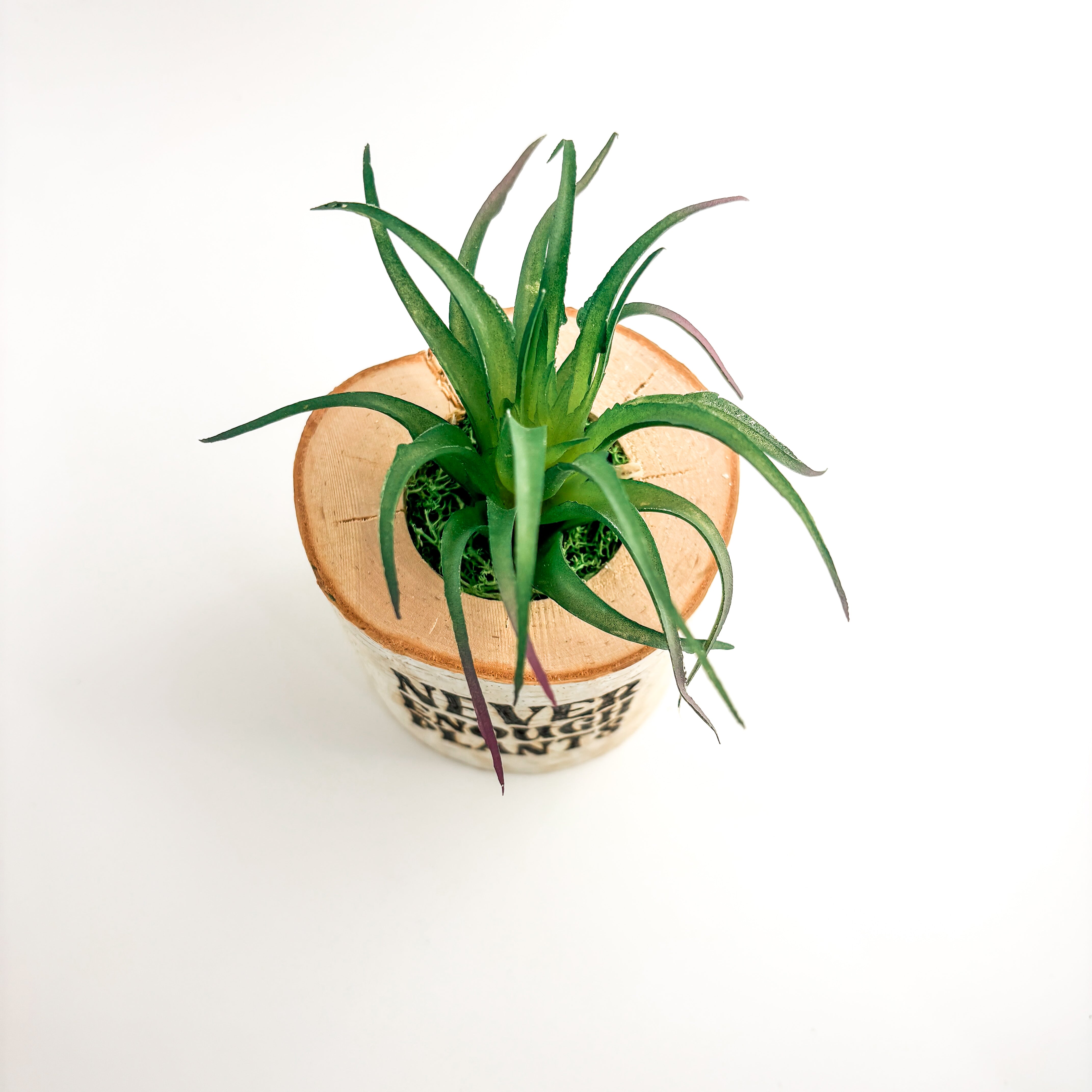 Birch Log Planter With Faux Plant - Never Enough Plants