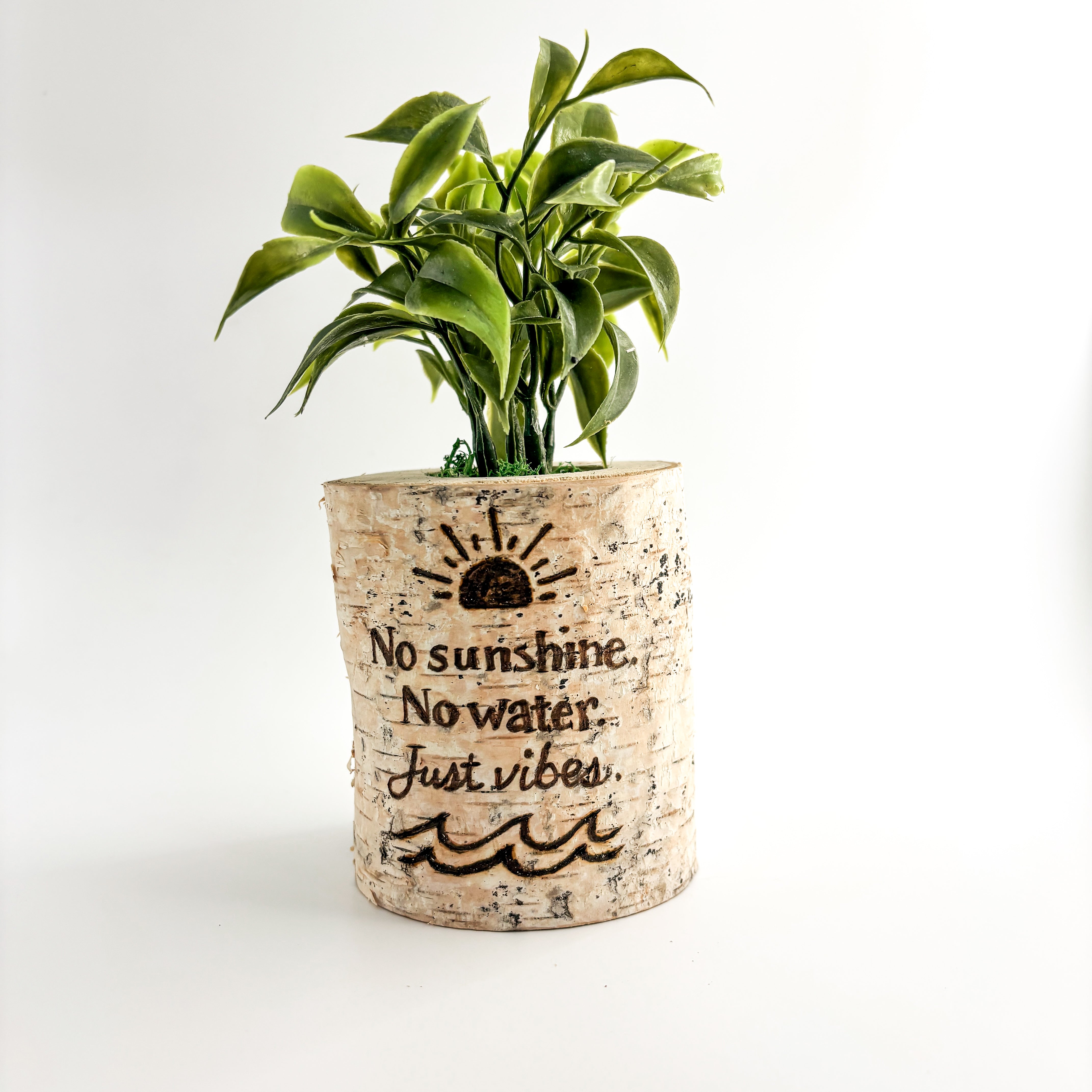 Birch Log Planter With Faux Plant - No Sunshine. No Water. Just Vibes
