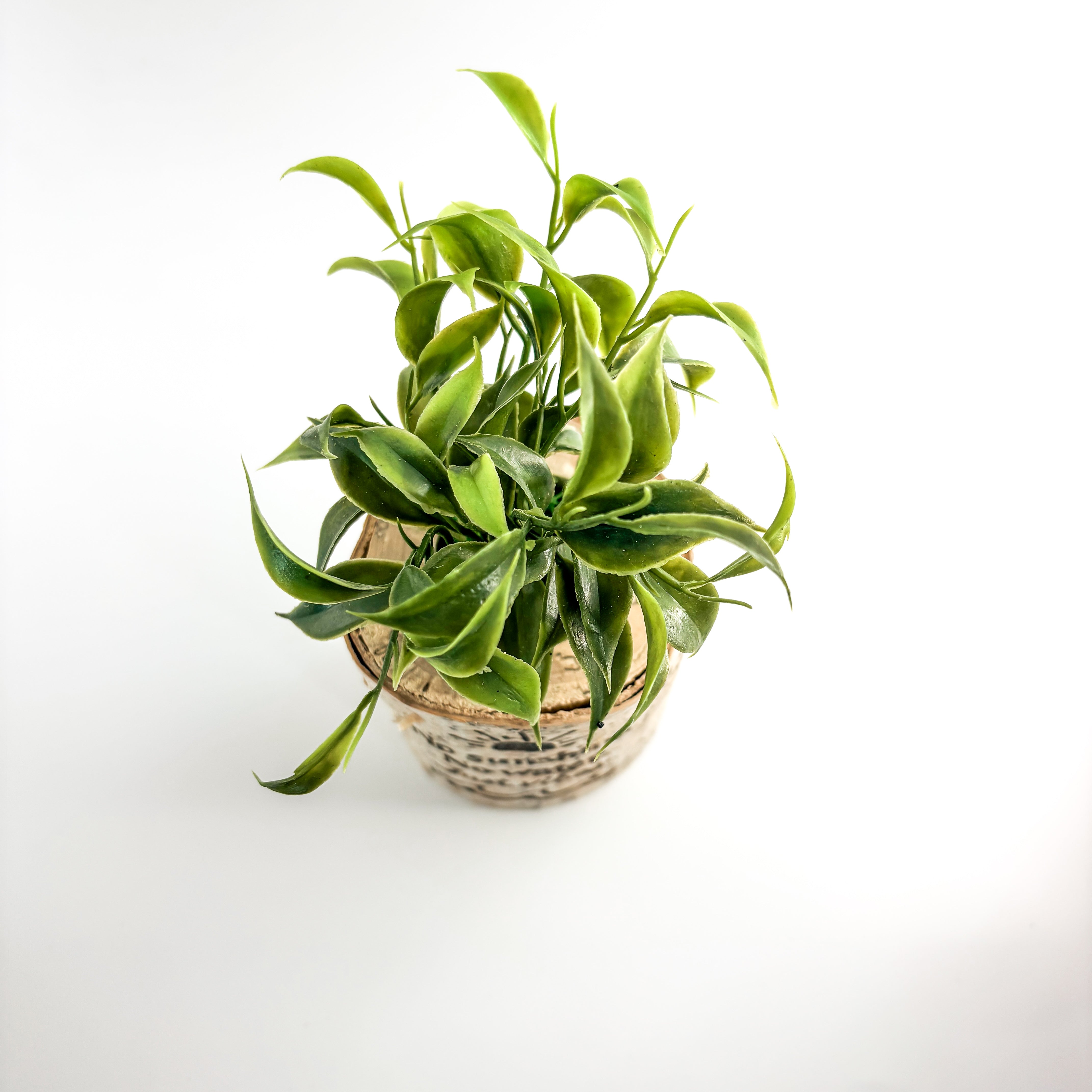 Birch Log Planter With Faux Plant - No Sunshine. No Water. Just Vibes