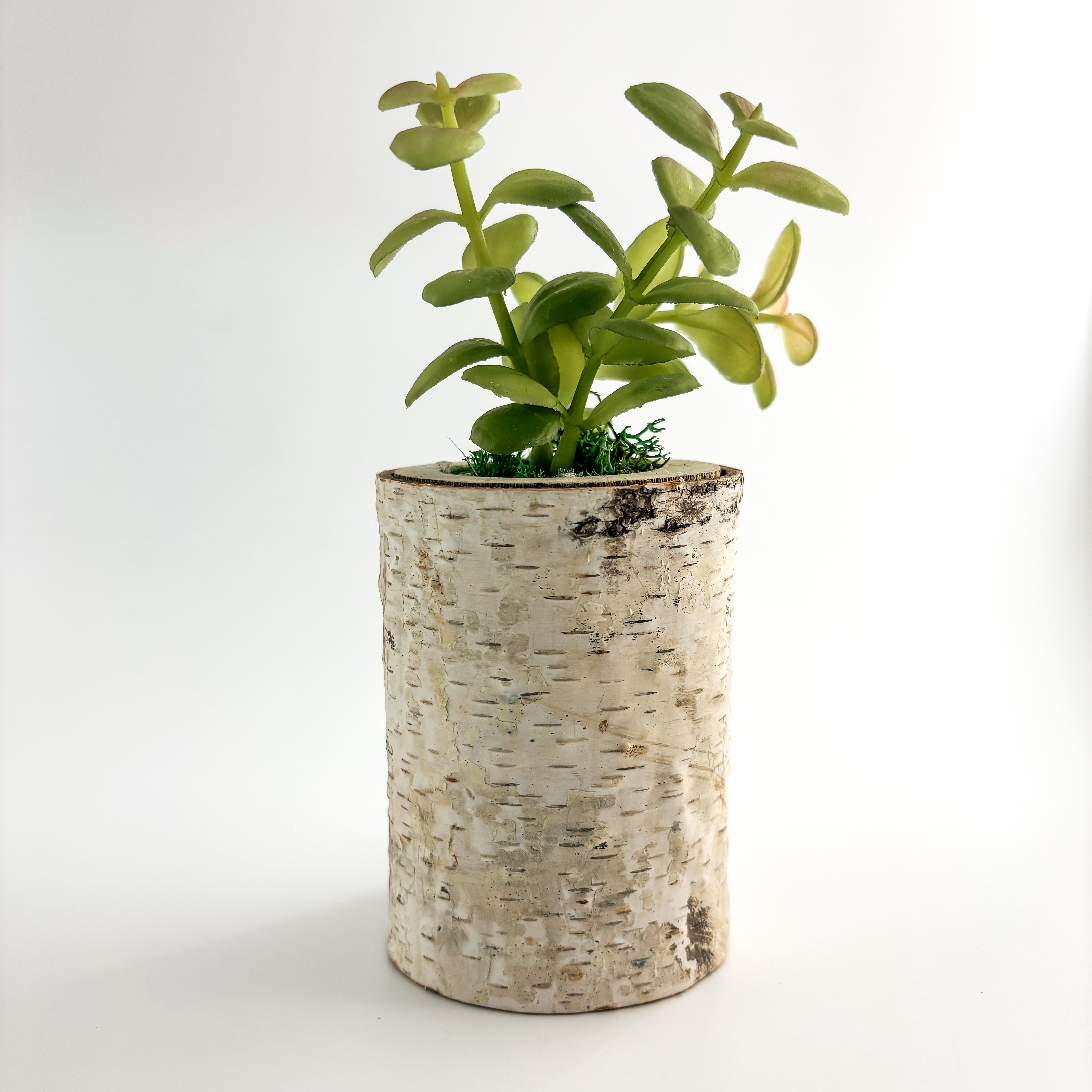 Birch Log Planter With Faux Plant
