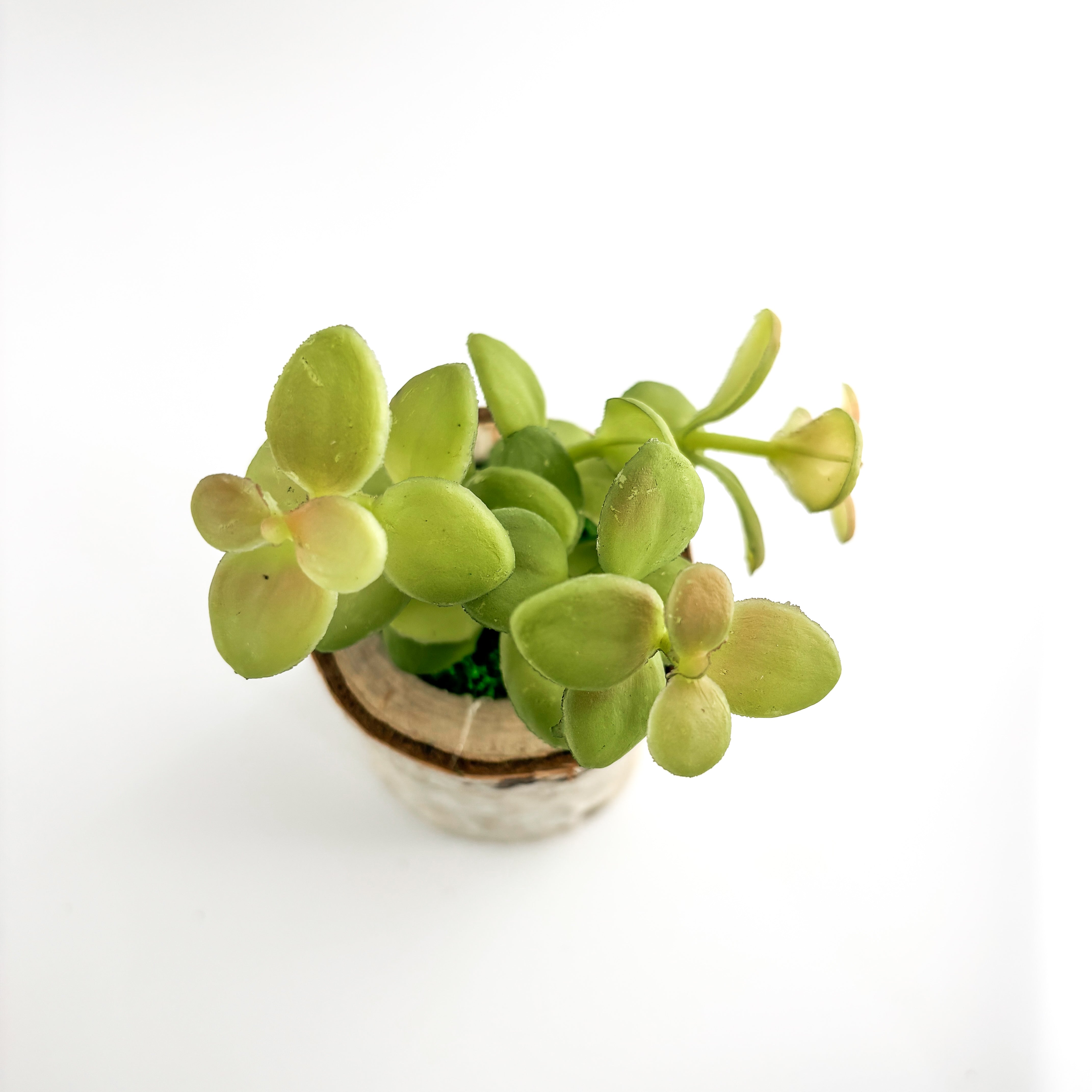 Birch Log Planter With Faux Plant