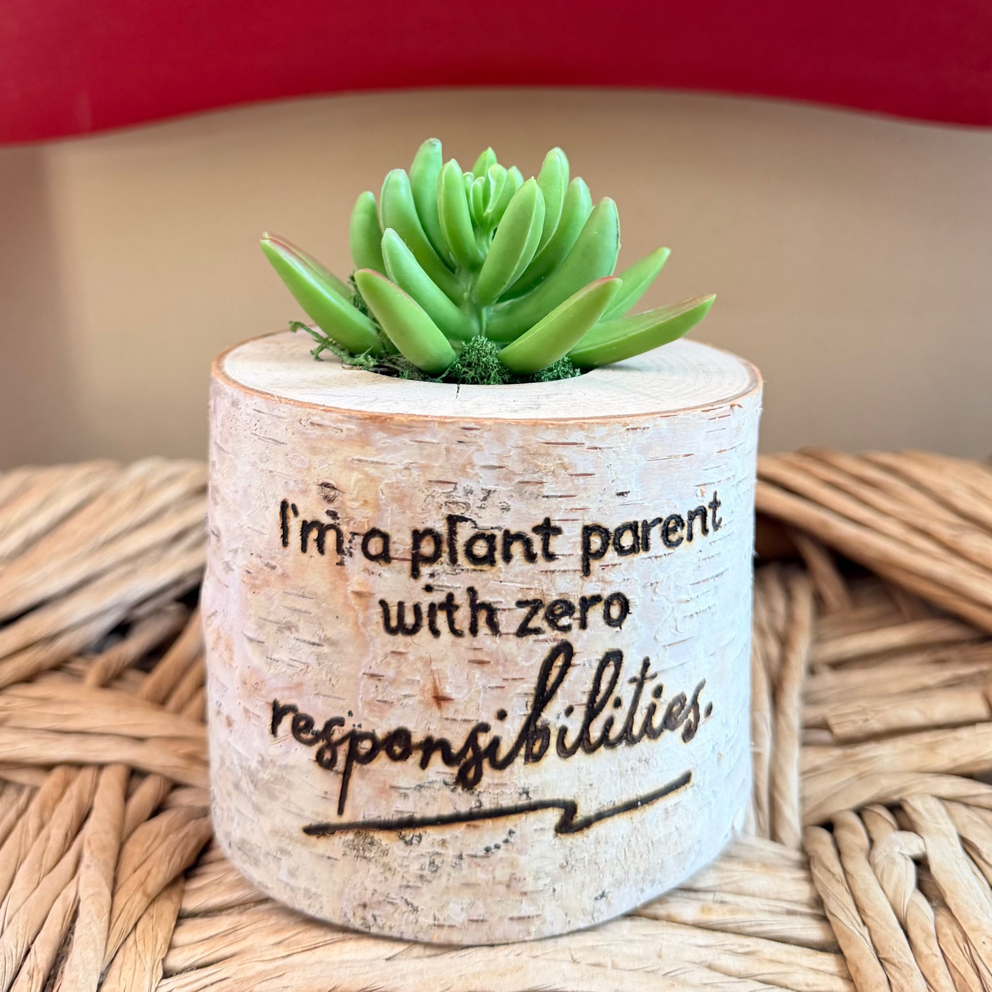 faux birch planter with burning I'm a plant parent with zero responsibilities