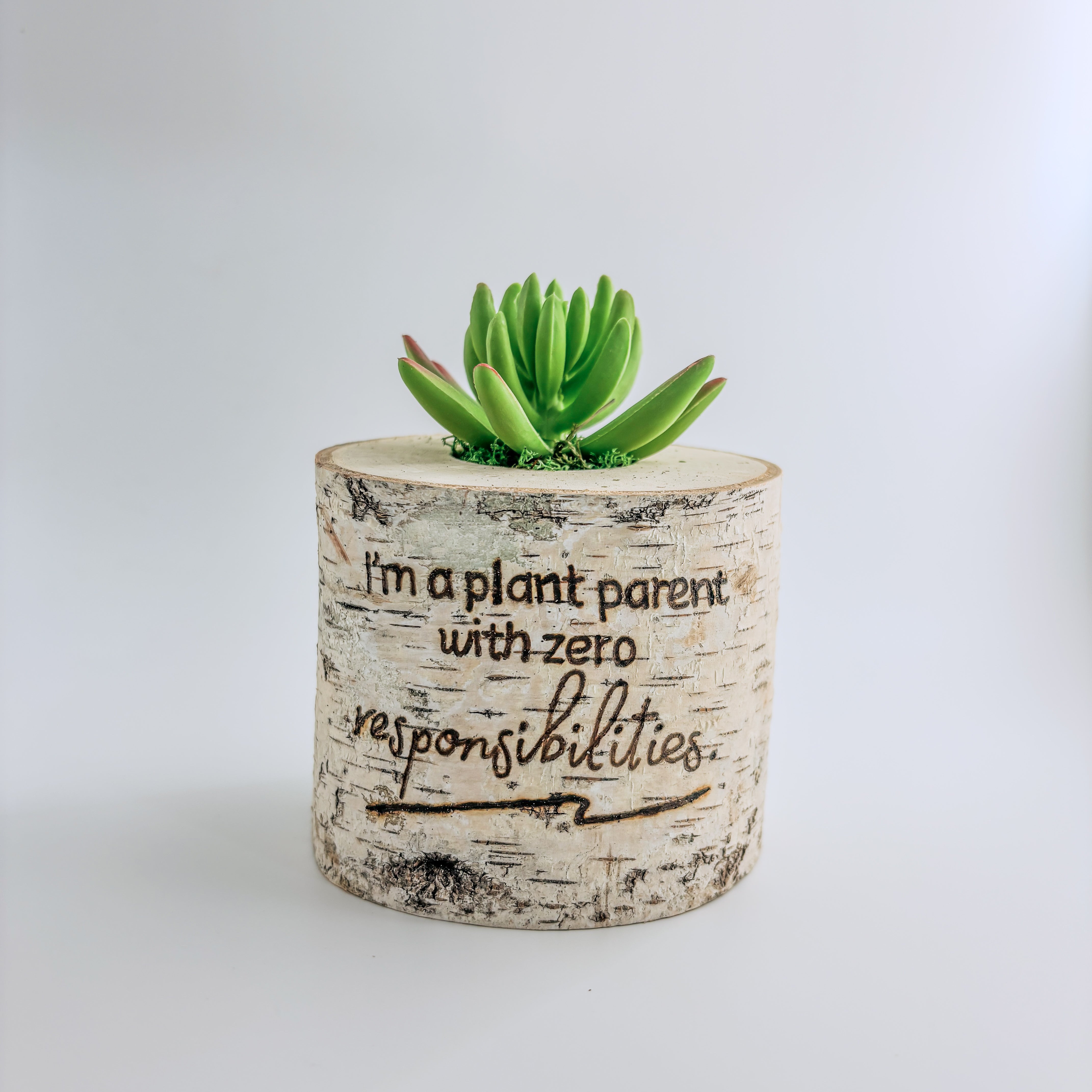 Birch Log Planter With Faux Plant - I'm a Plant Parent with Zero Responsibilities