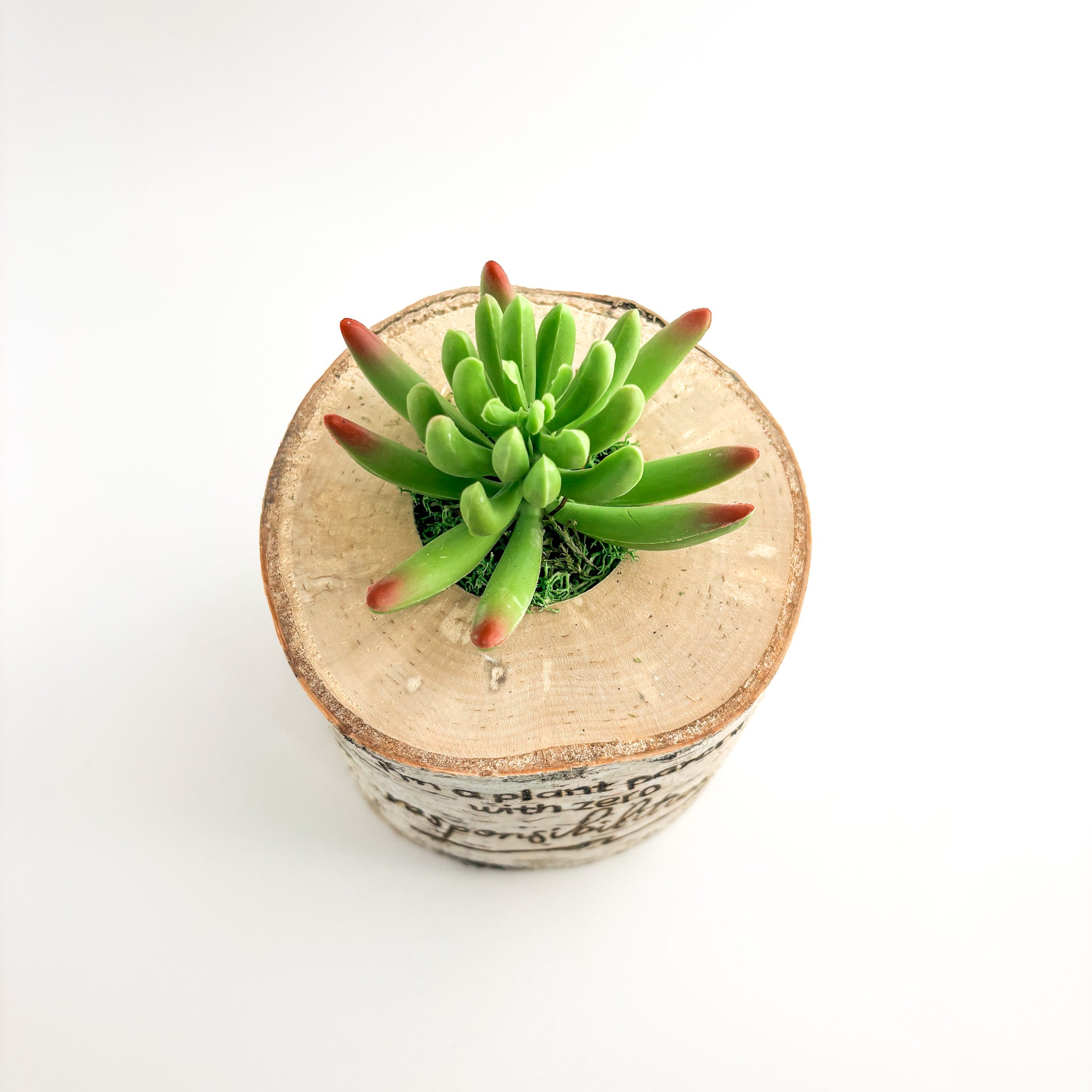 Birch Log Planter With Faux Plant - I'm a Plant Parent with Zero Responsibilities
