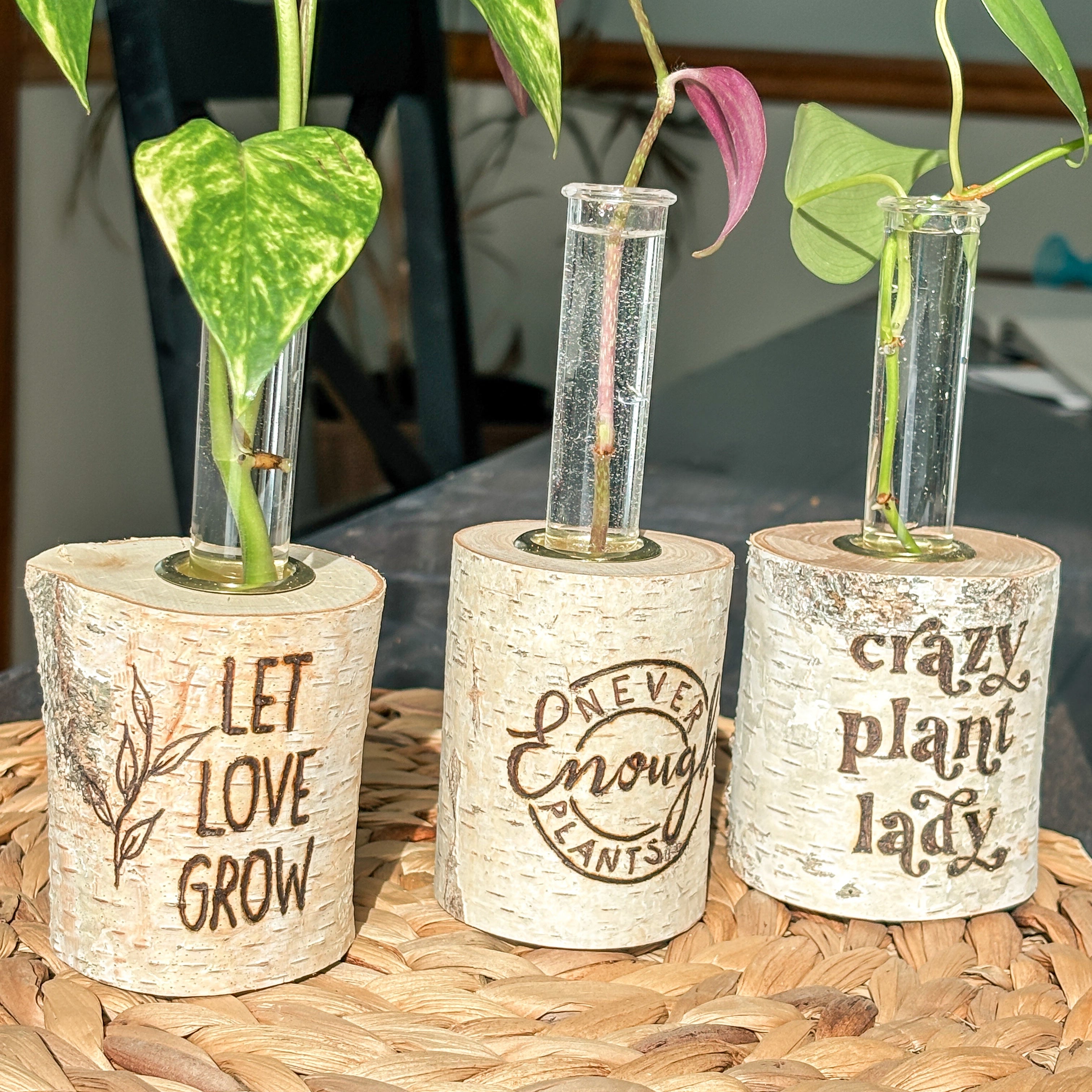 Three small birch tree log planters with plants inside, each with a different message, on a woven surface. Propagation stations