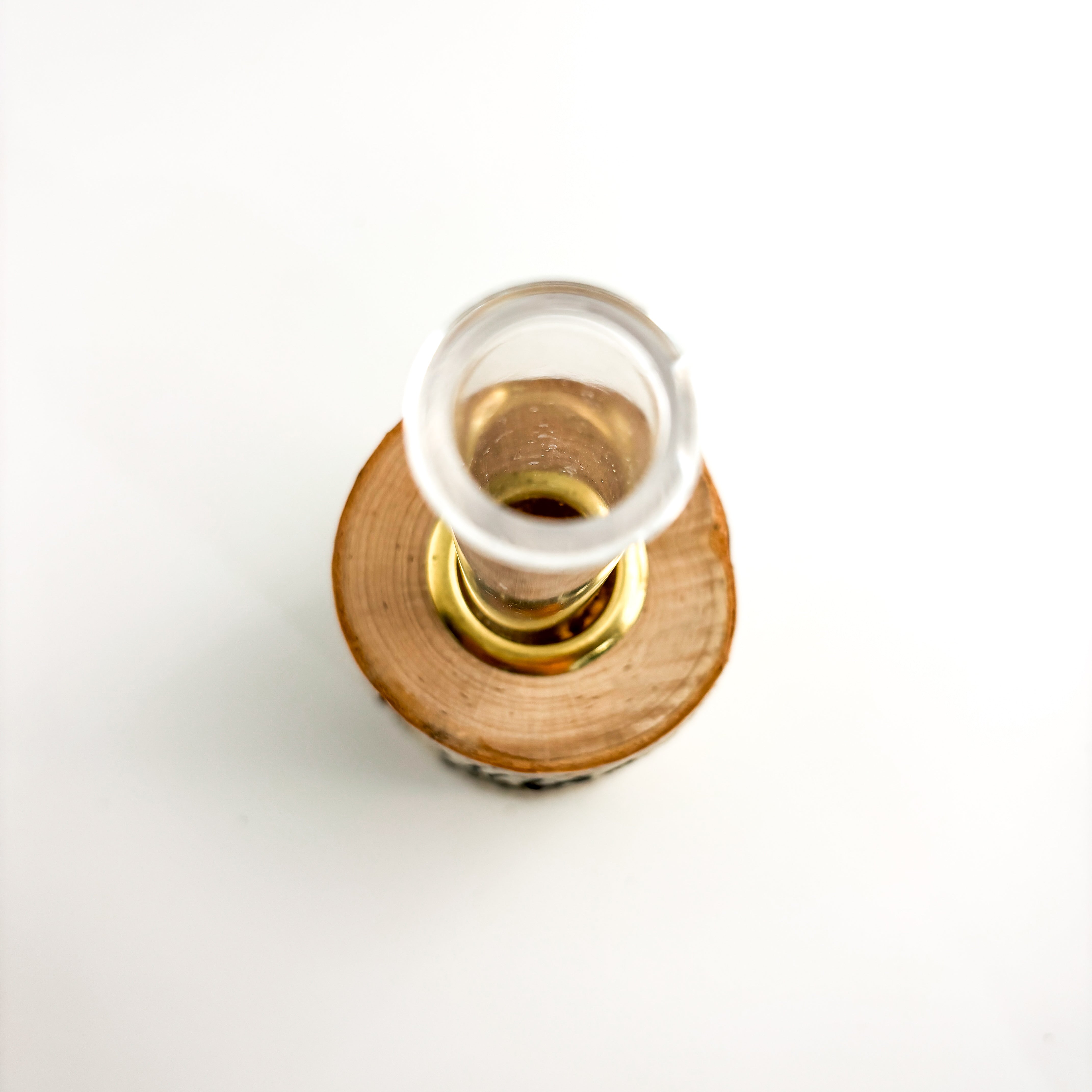 Plant Propagation Station - Just One More Plant