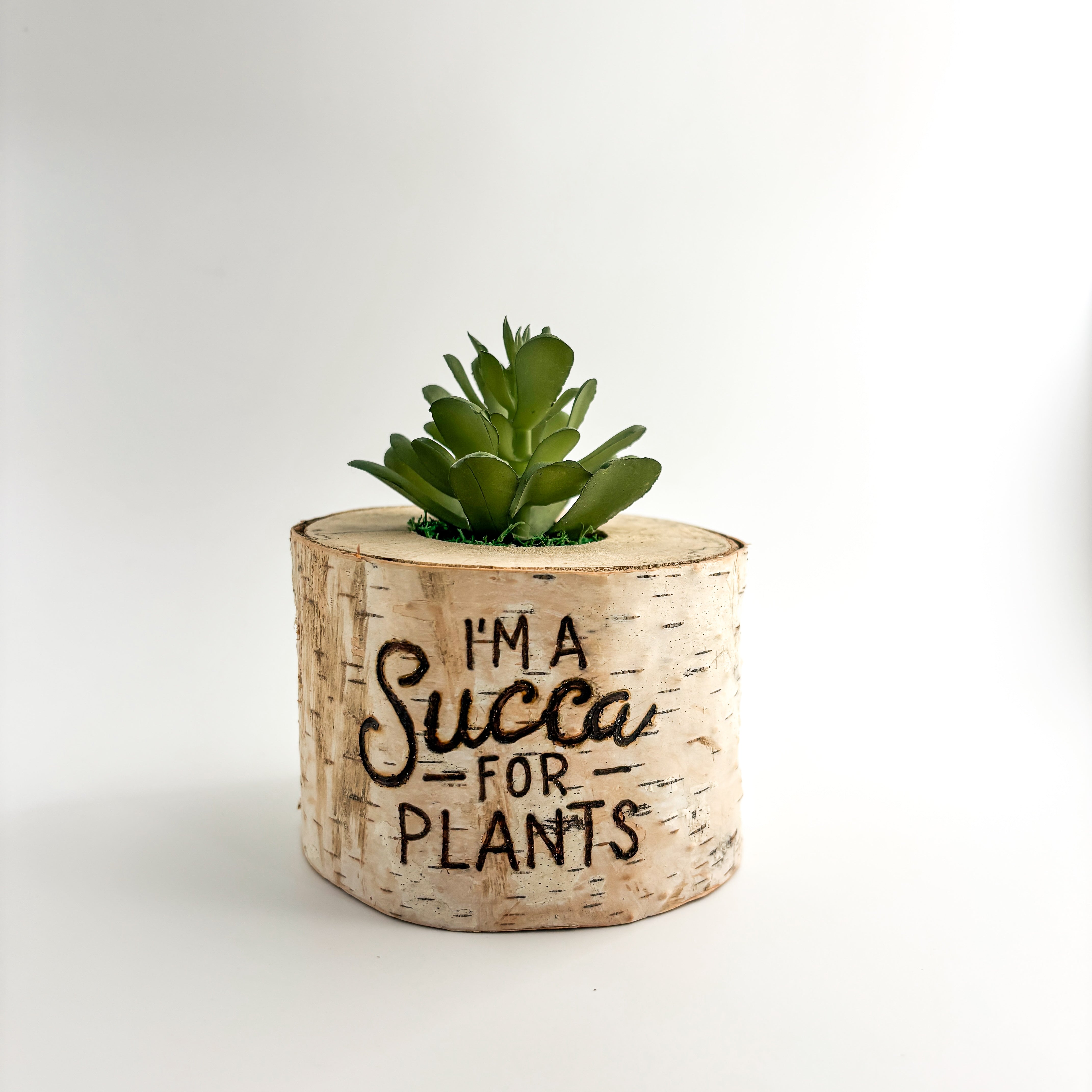 Birch Log Planter With Faux Plant - I'm a Succa For Plants
