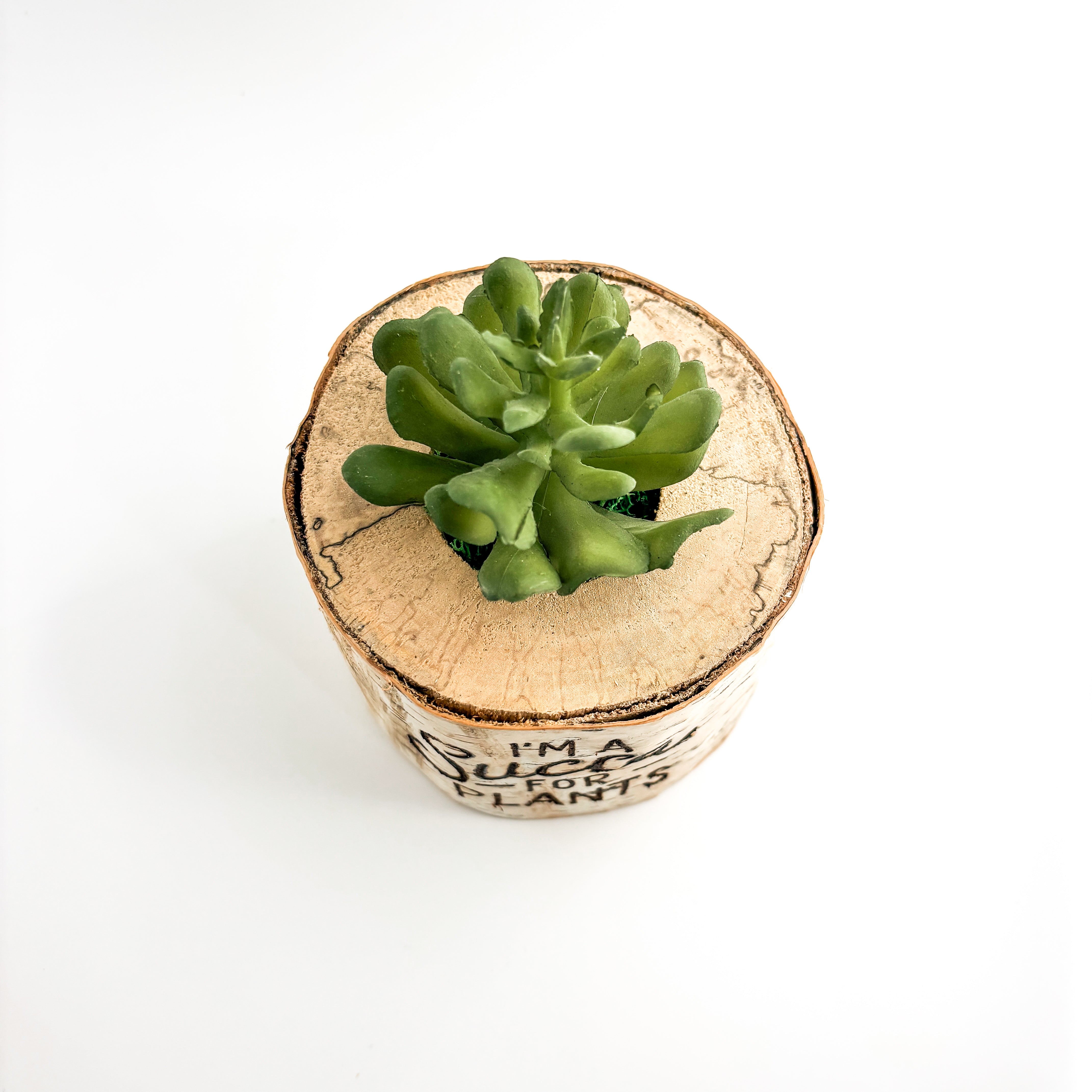 Birch Log Planter With Faux Plant - I'm a Succa For Plants