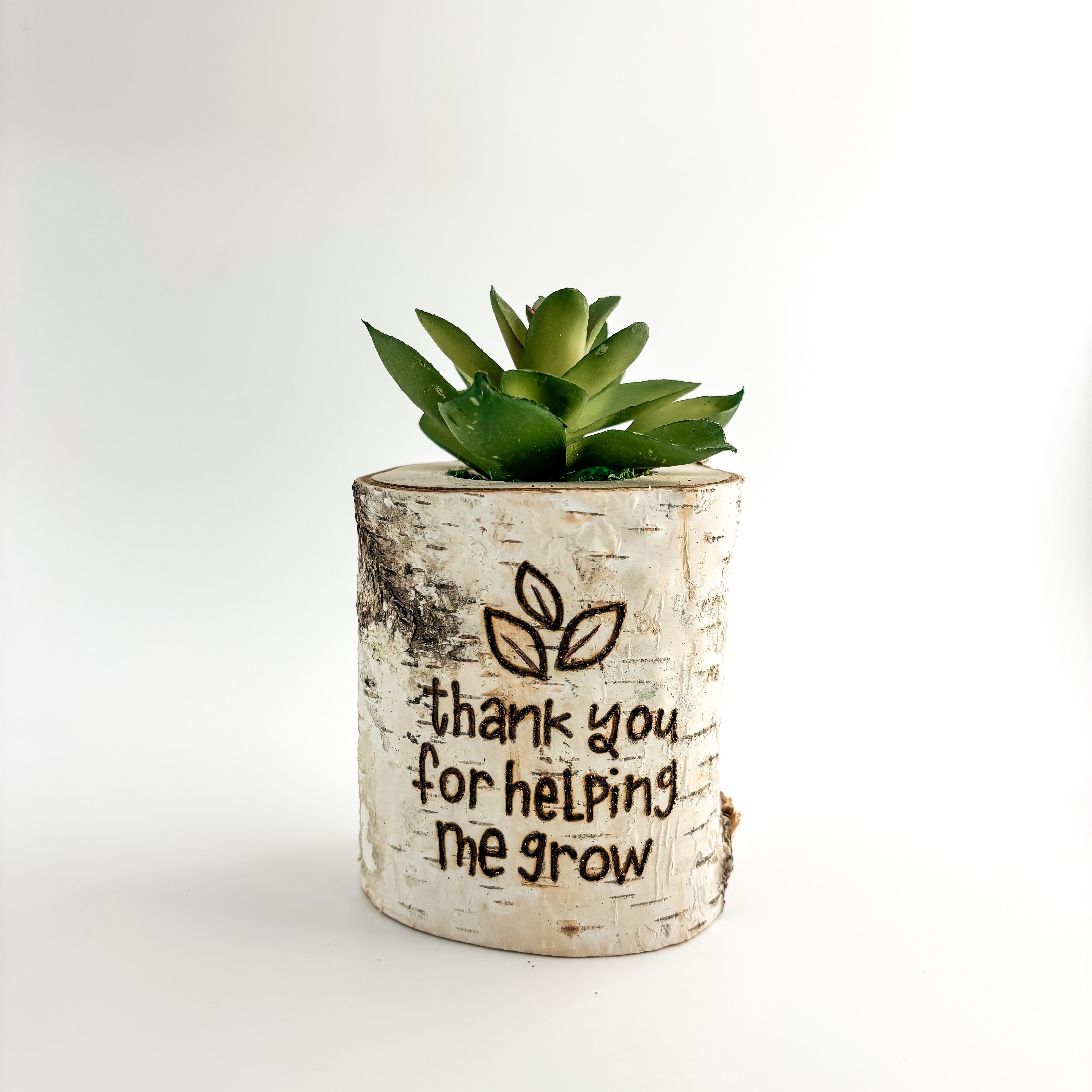 Birch Log Planter With Faux Plant - Thanks for Helping Me Grow Teacher Gift