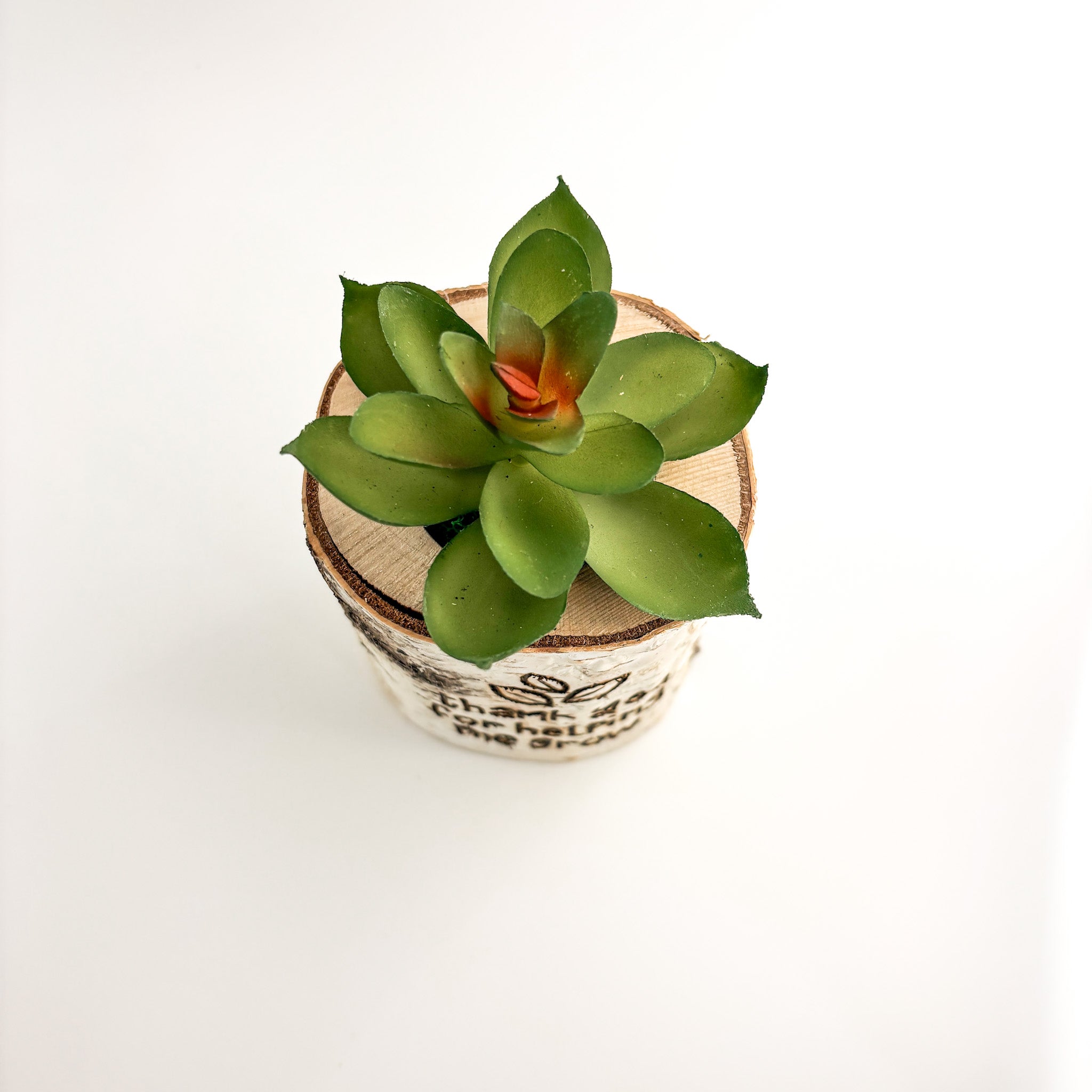 Birch Log Planter With Faux Plant - Thanks for Helping Me Grow Teacher Gift