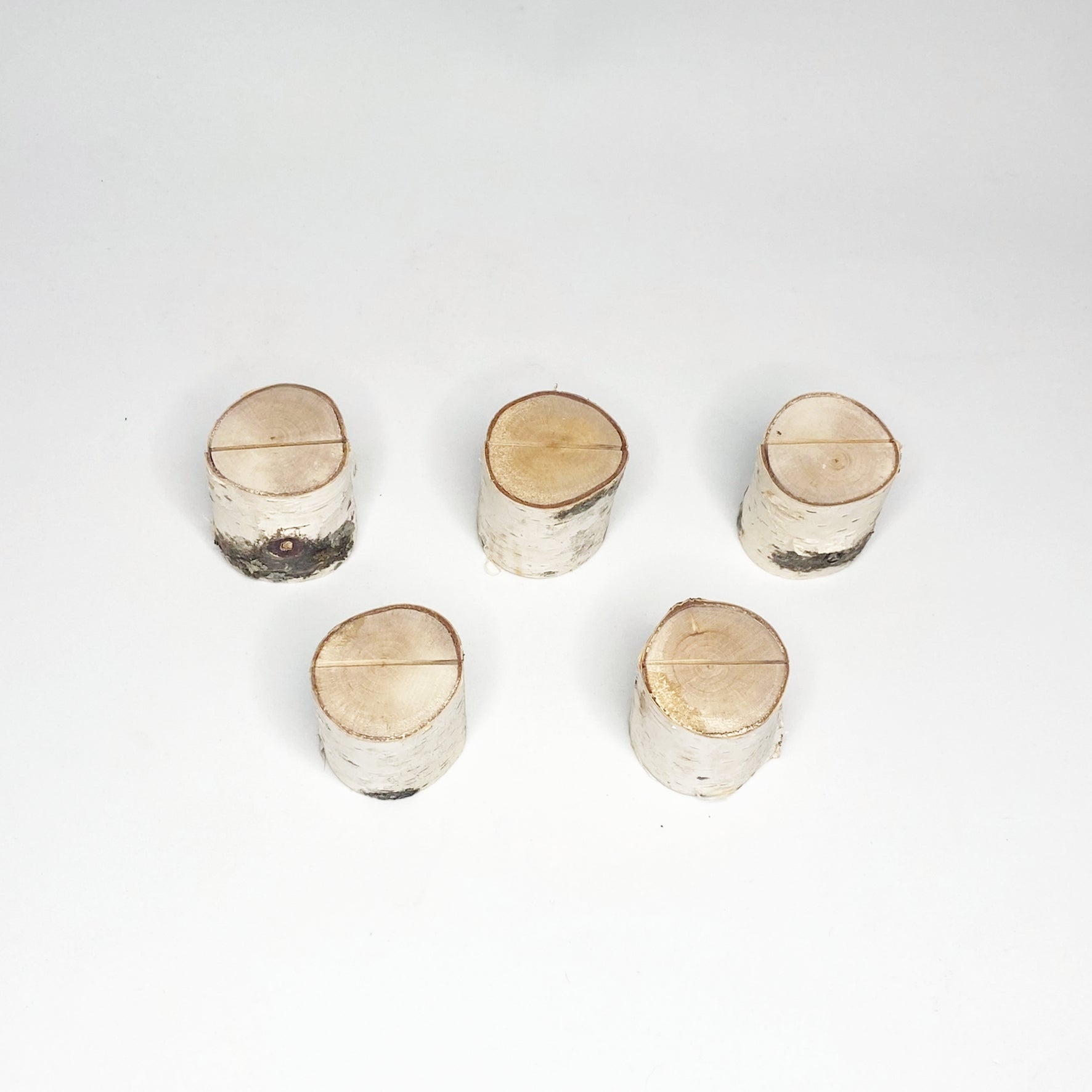 Birch Branch Card and Photo Display Stands - Set of 5