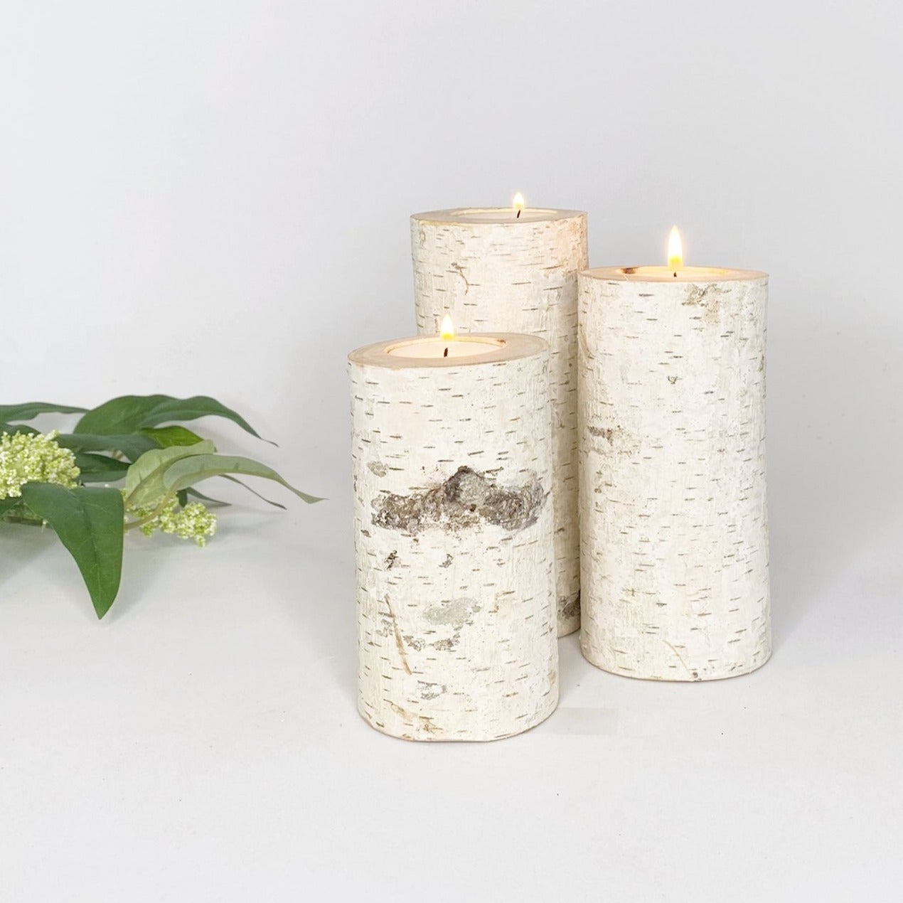 Set of Three Birch Wood Candle Holders