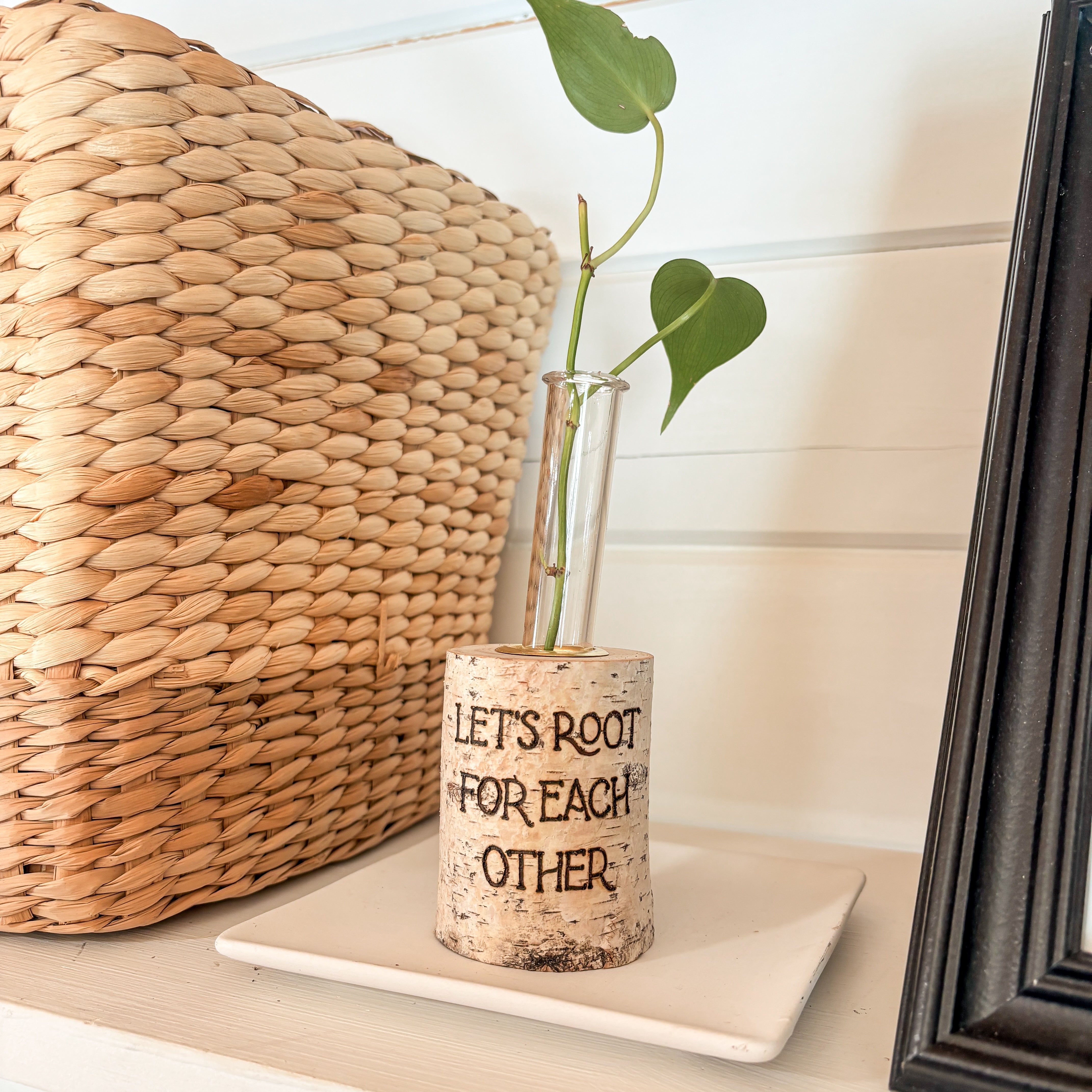 Plant Propagation Station - Let's Root for Each Other