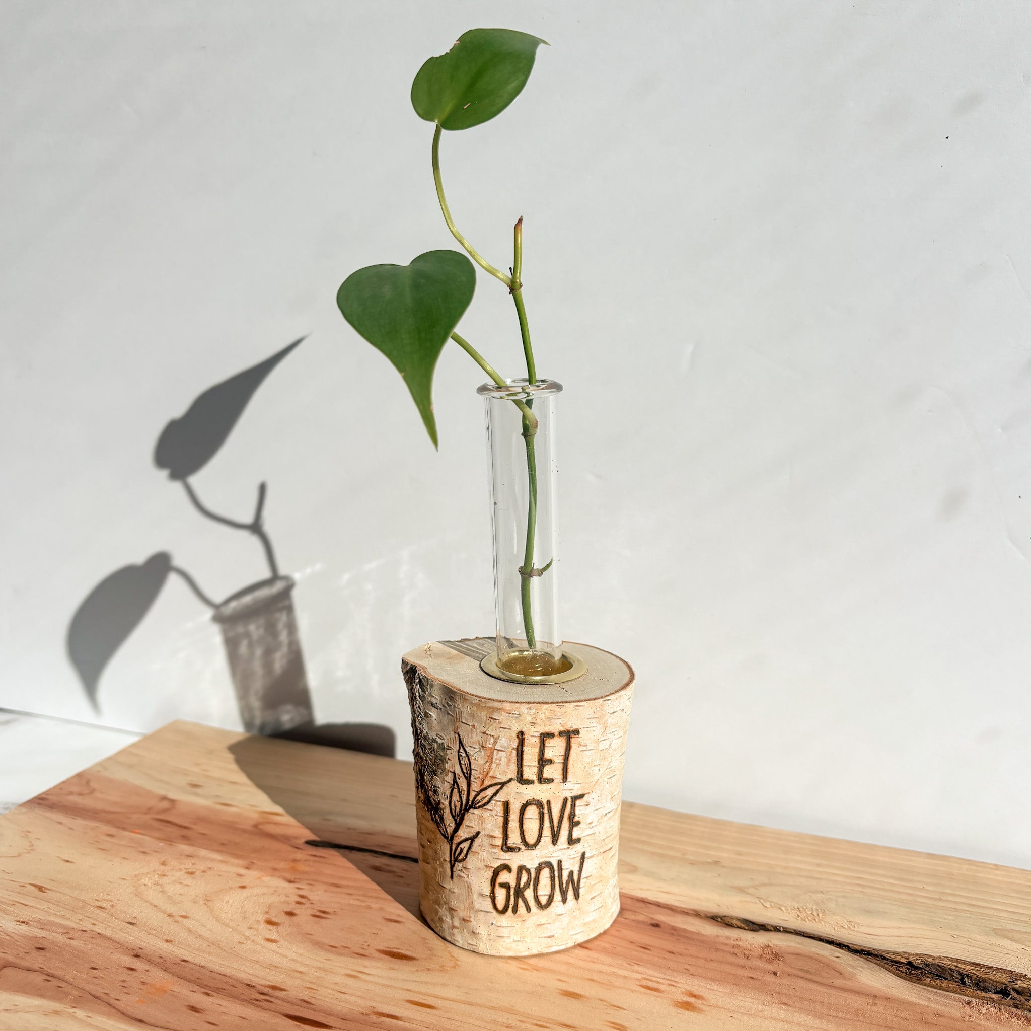 Plant Propagation Station - Let Love Grow