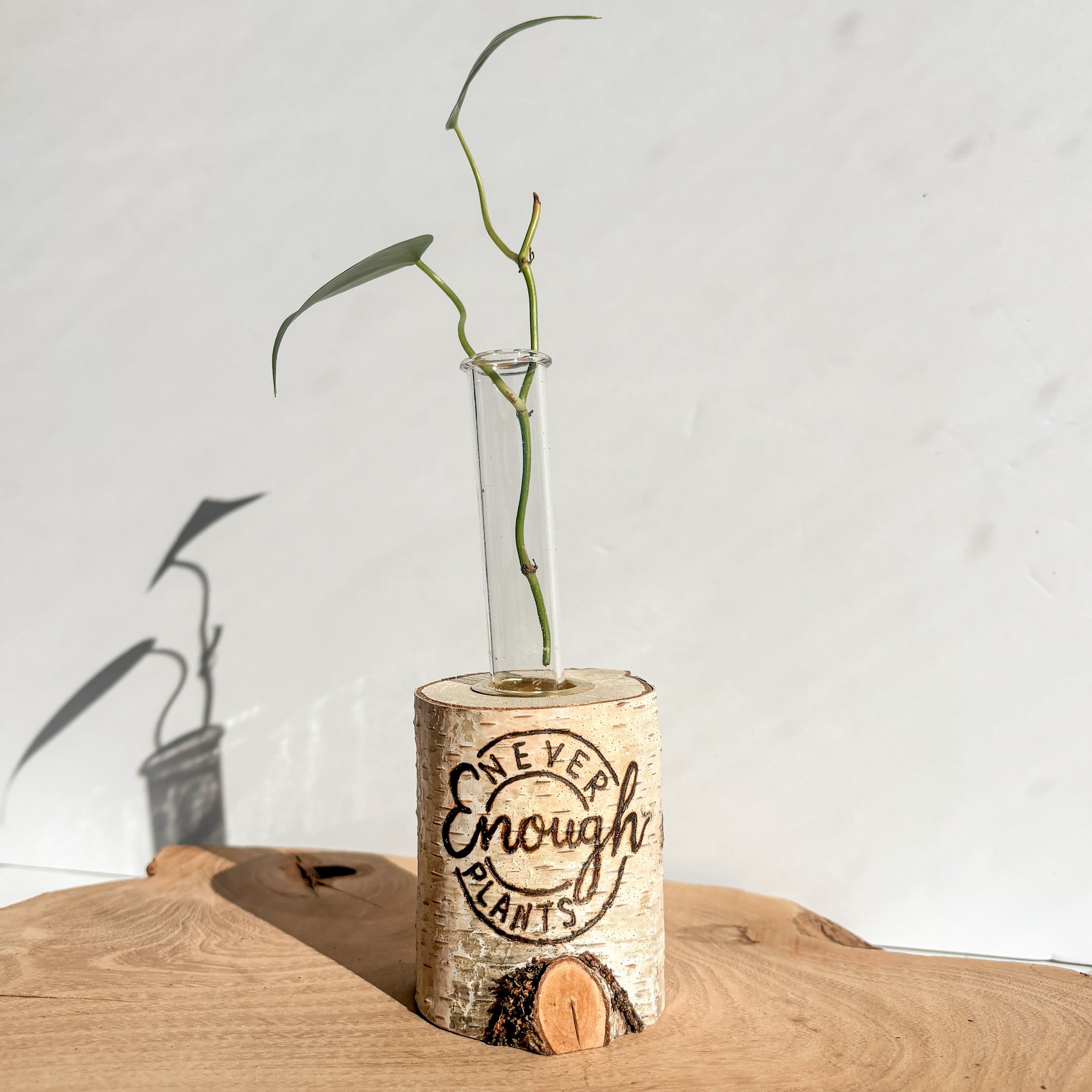 Plant Propagation Station - Never Enough Plants