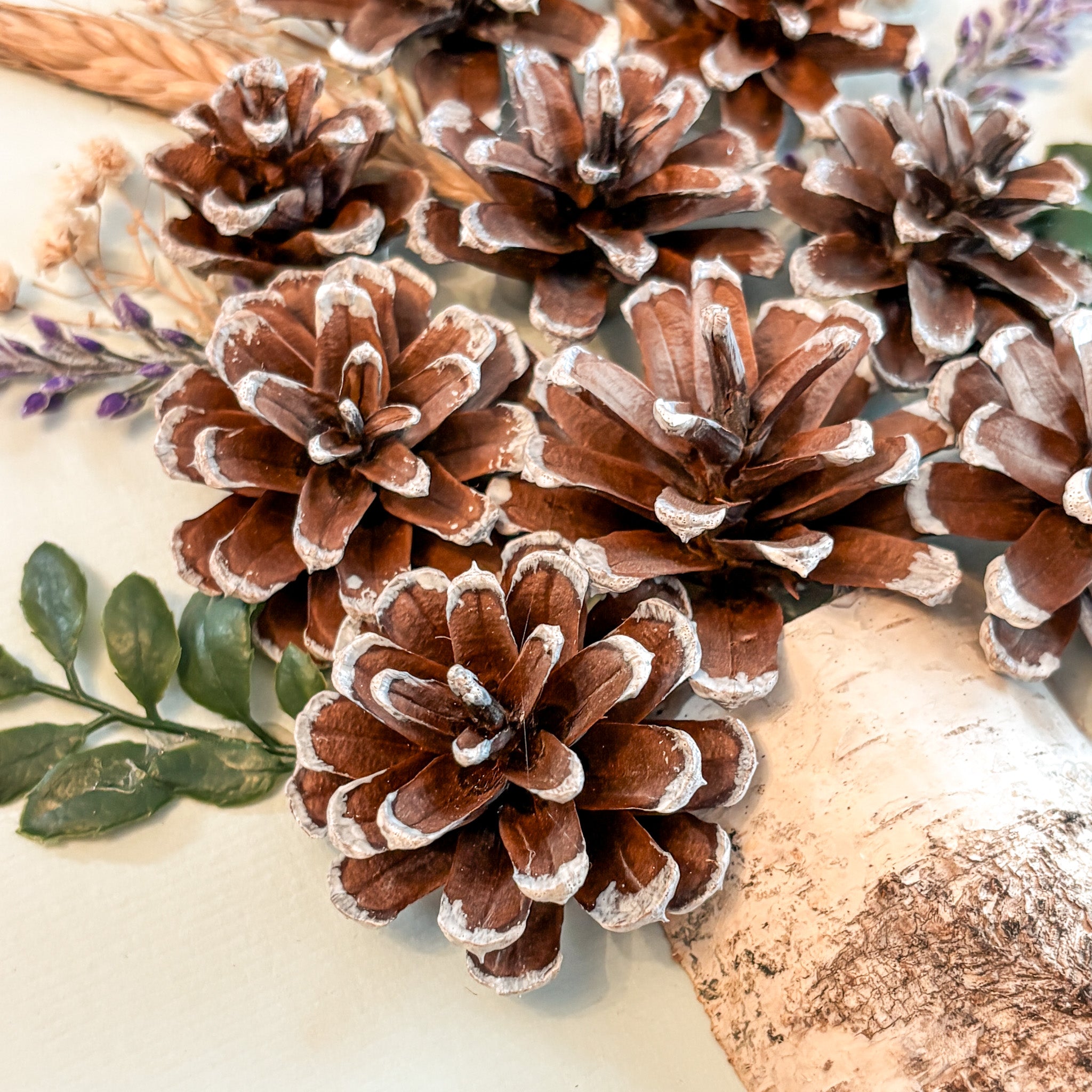 Nature-Inspired Flower Wall Art – Pinecone and Birch Handmade Piece