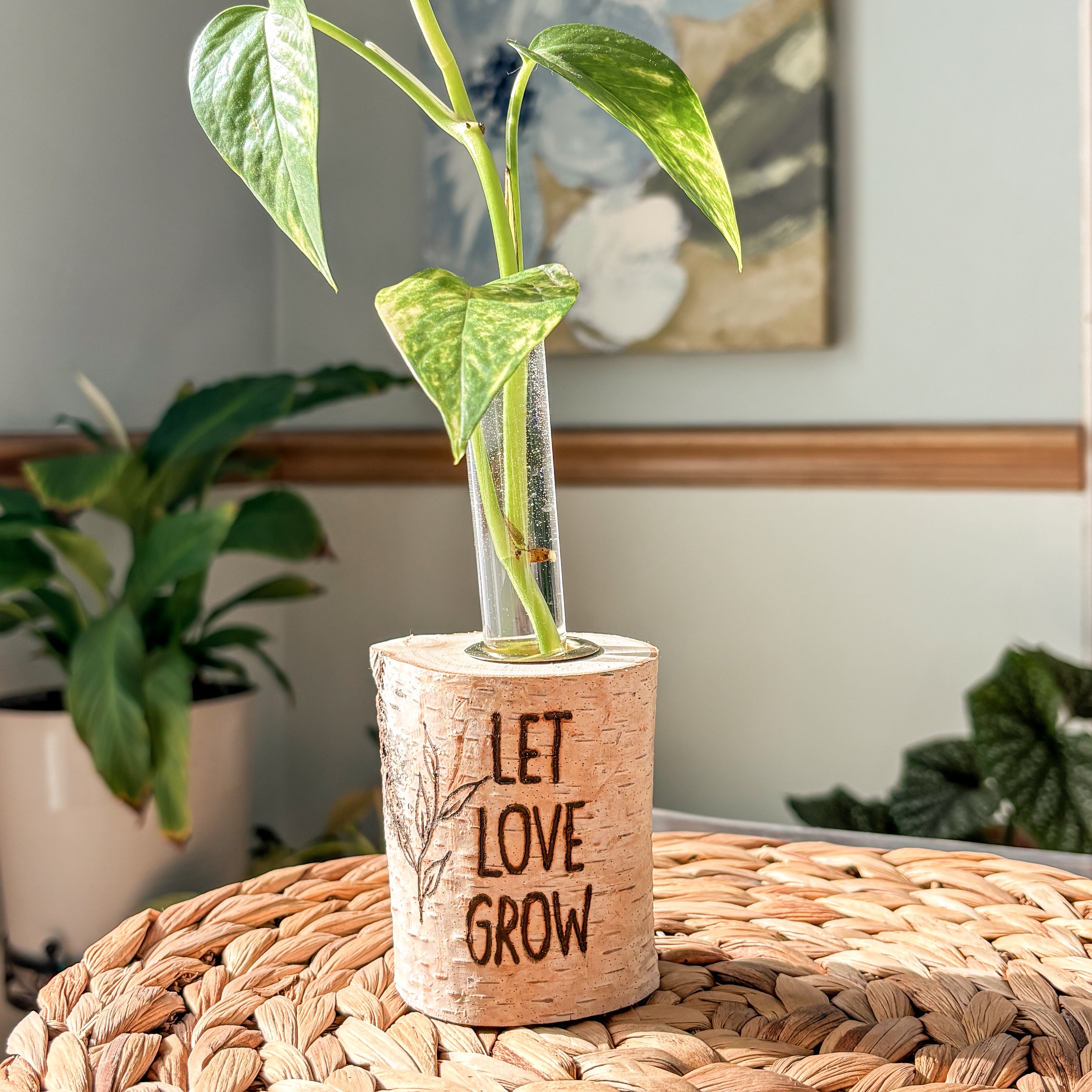 Planted cuttings in a glass vase with 'Let Love Grow' text on a woven surface.