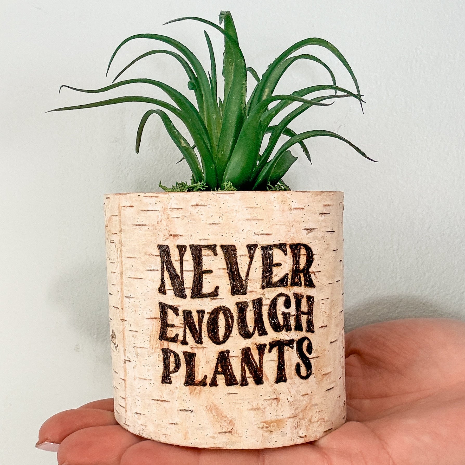 Cylindrical birch faux plant pot with 'Never Enough Plants' text held in a hand against a light background