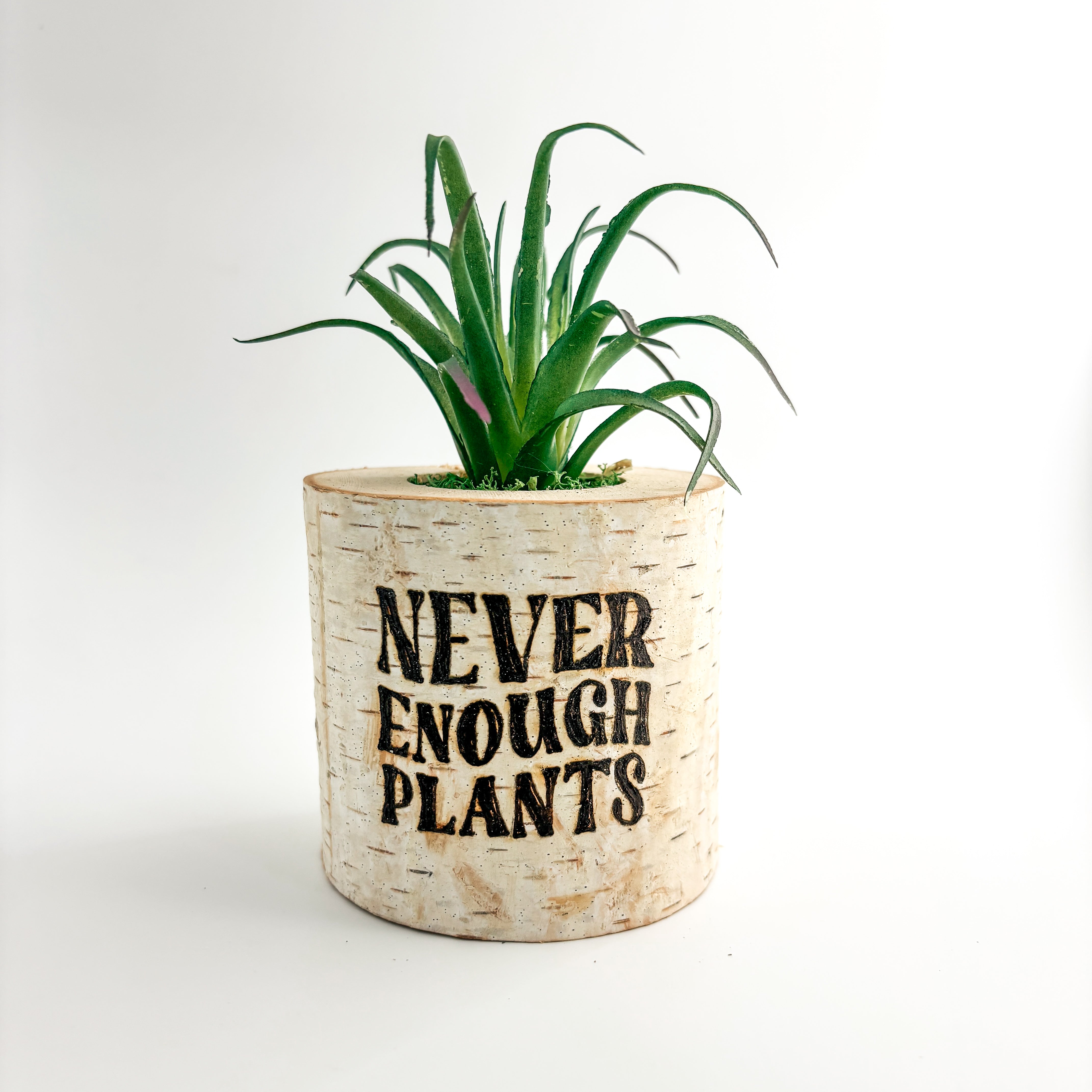 Birch Log Planter With Faux Plant - Never Enough Plants