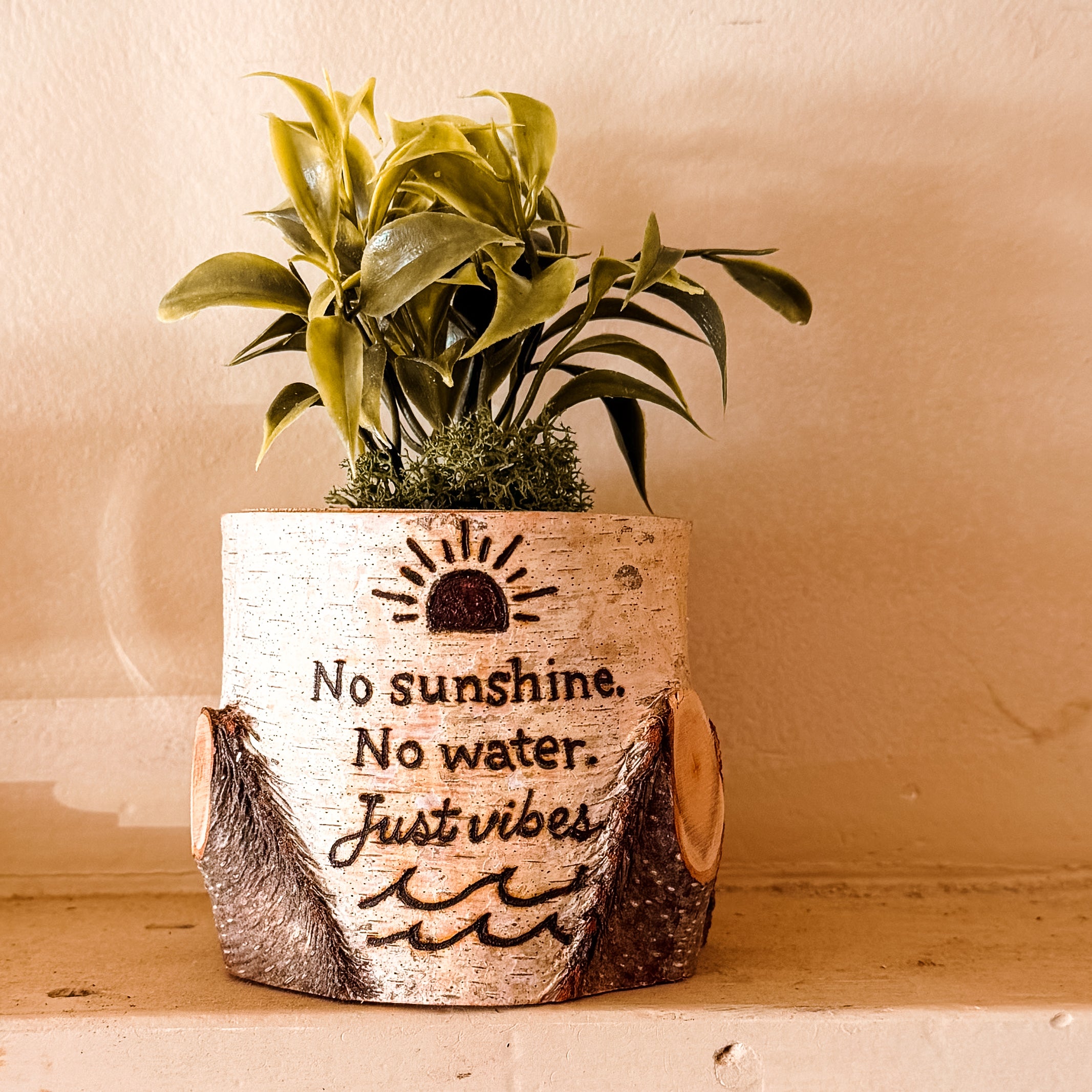 Birch Log Planter With Faux Plant - No Sunshine. No Water. Just Vibes