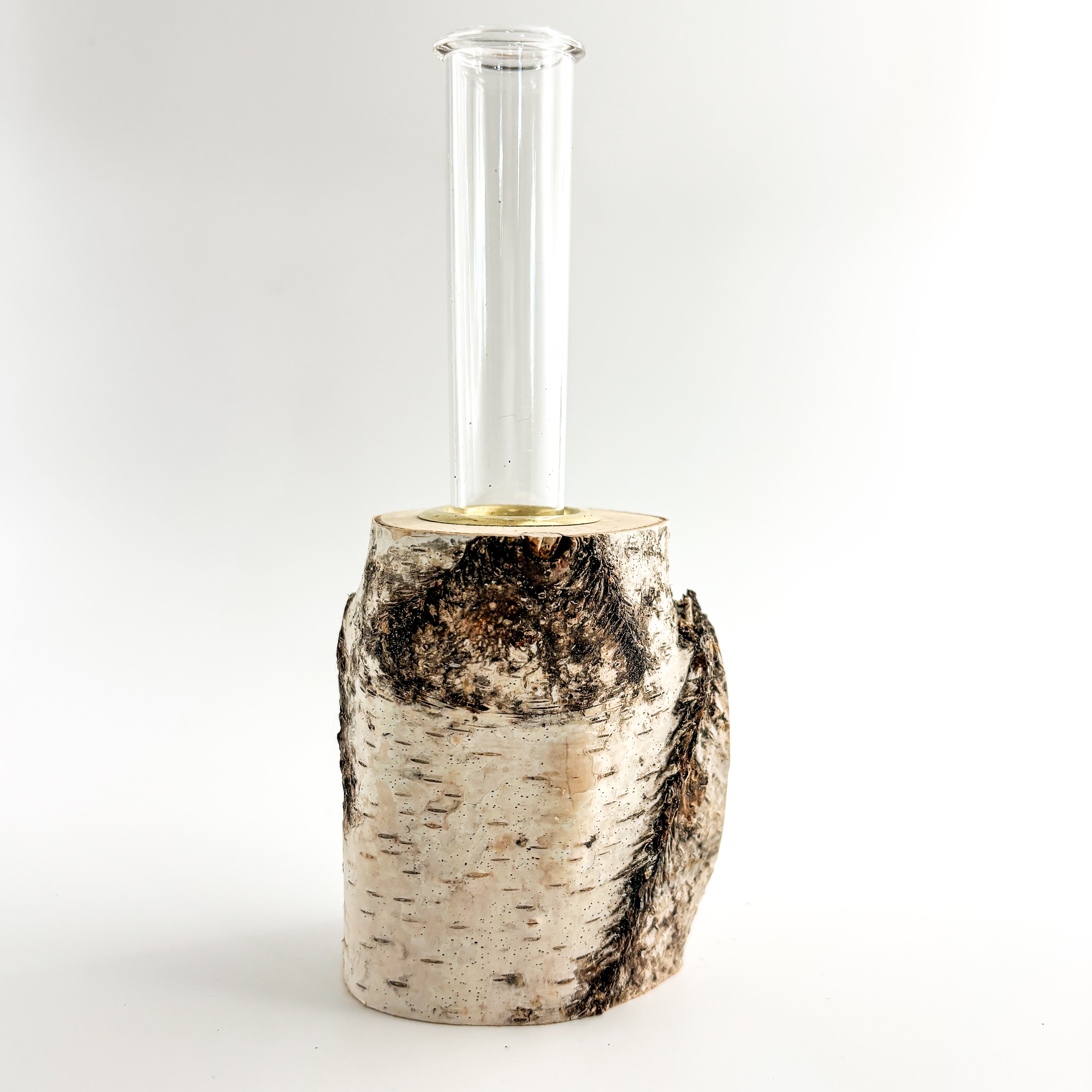 Plant Propagation Station - Birch Log